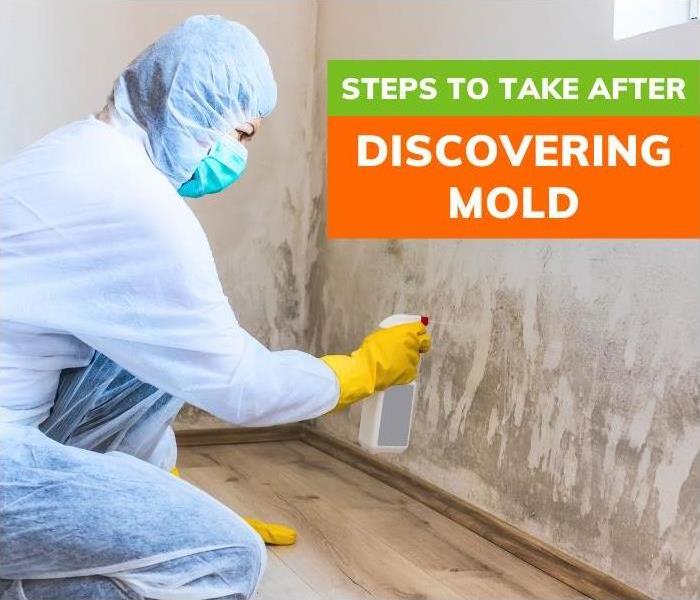 Woman cleaning mold from the wall | Steps to Take After Discovering Mold