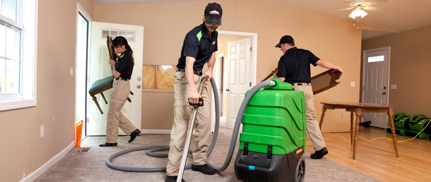 Arcadia, CA cleaning services